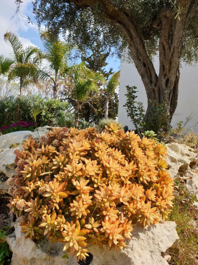 Trenasse Guest House Marsala Exterior photo